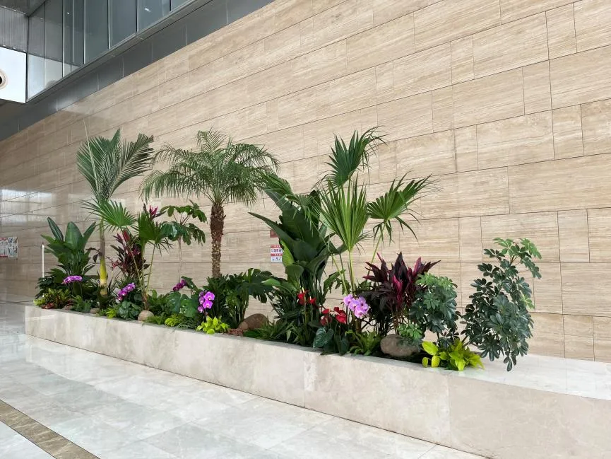 宁波北仑花卉出租价格